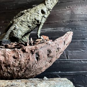 hilal bonsai seramik saksı
