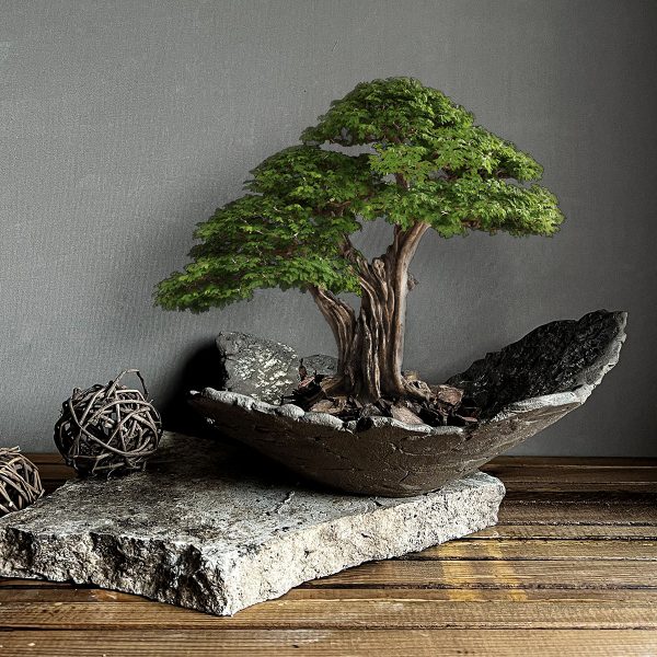 gaia bonsai saksı